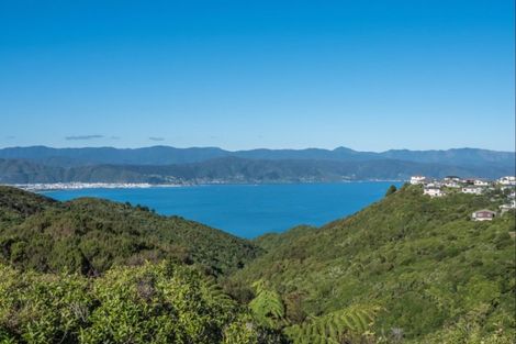 Photo of property in 12b Bayswater Place, Newlands, Wellington, 6037