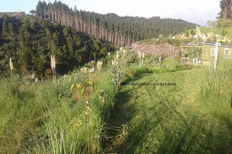 Photo of property in 609a Bickerstaffe Road, Maungaturoto, 0587