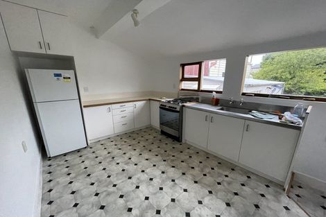 Photo of property in 113 Wallace Street, Mount Cook, Wellington, 6021