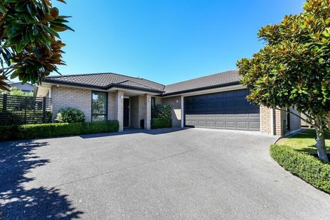 Photo of property in 55 Ainslee Street, Highlands Park, New Plymouth, 4312