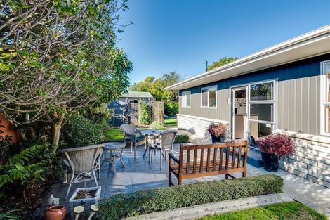 Photo of property in 1/4 Mckeefry Avenue, Greenmeadows, Napier, 4112