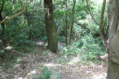 Photo of property in 179 Buckley Road, Southgate, Wellington, 6023