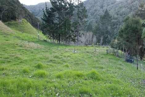 Photo of property in 187c Tutaetoko Road, Toatoa, Opotiki, 3197