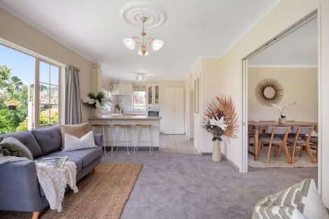 Photo of property in 207 Oropi Road, Oropi, Tauranga, 3173