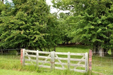 Photo of property in 135 Cambrian Road, Cambrians, Omakau, 9386