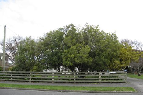 Photo of property in 12 Herbert Street, Masterton, 5810