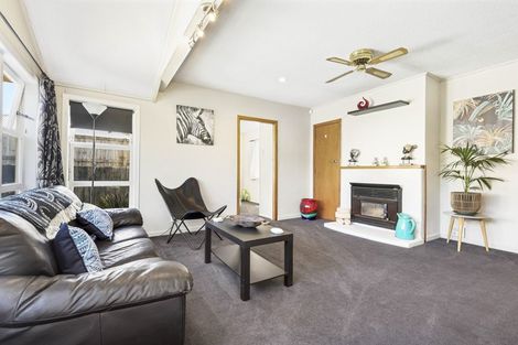 Photo of property in 158 Rimu Street, Maeroa, Hamilton, 3200