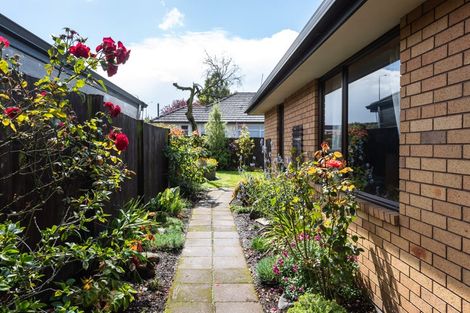 Photo of property in 165 Edinburgh Street, Spreydon, Christchurch, 8024