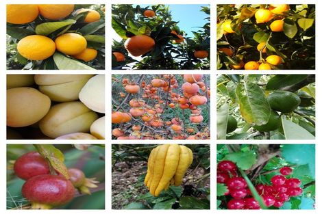 Photo of property in 4 Farndon Road, Clive, 4102