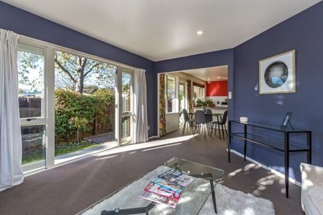 Photo of property in 1/11 Grove Road, Addington, Christchurch, 8024