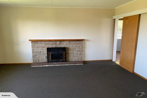 Photo of property in 1002 Totara Street, Mahora, Hastings, 4120