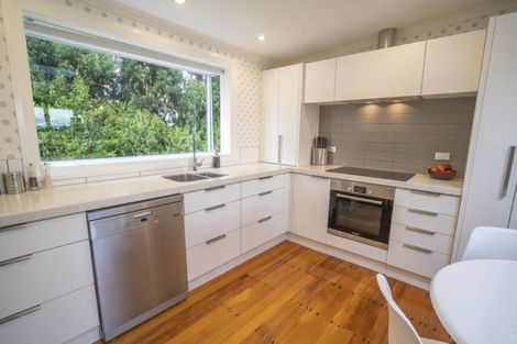 Photo of property in 48b Egerton Road, Winton, 9781