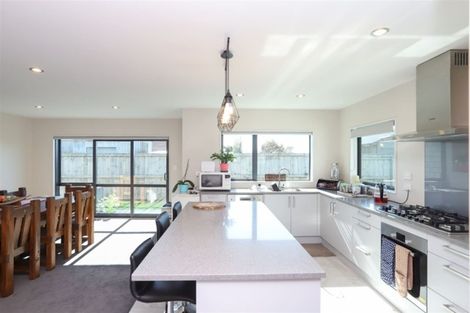 Photo of property in 17 Ladeira Place, Fitzroy, Hamilton, 3206