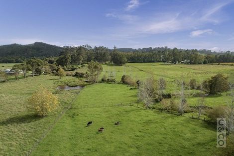 Photo of property in 293 Ararimu Valley Road, Helensville, Waimauku, 0882