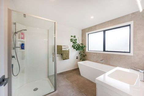 Photo of property in 91 Fitzroy Street, Terrace End, Palmerston North, 4410