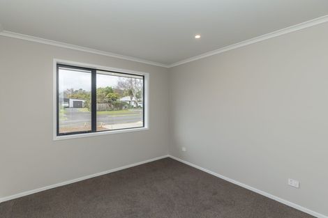 Photo of property in 93 Fairfield Road, Levin, 5510