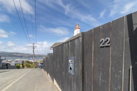 Photo of property in 22 Selkirk Street, Roslyn, Dunedin, 9010