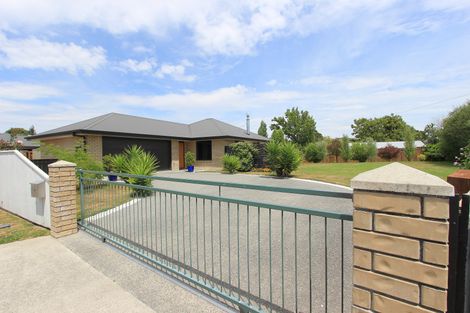 Photo of property in 14 Mcisaac Place, Renwick, 7204