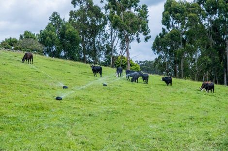 Photo of property in 587 Pleasant Point Highway, Levels, Timaru, 7975