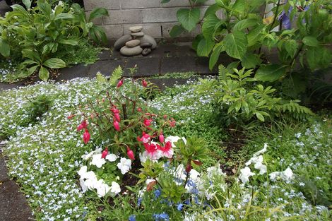 Photo of property in 2/89 Harvey Street, Waipahihi, Taupo, 3330