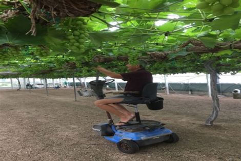 Photo of property in 392 Ngarua Road, Waitoa, 3380