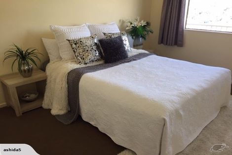 Photo of property in 33 Saint Lawrence Street, Toi Toi, Nelson, 7010