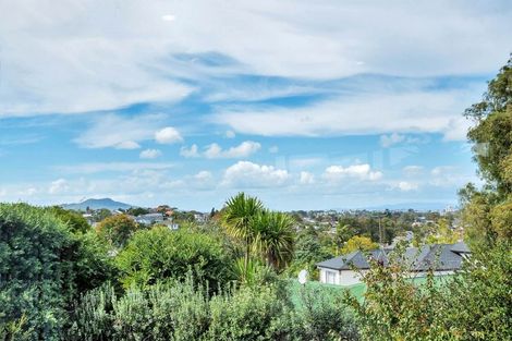 Photo of property in 46 Seine Road, Forrest Hill, Auckland, 0620