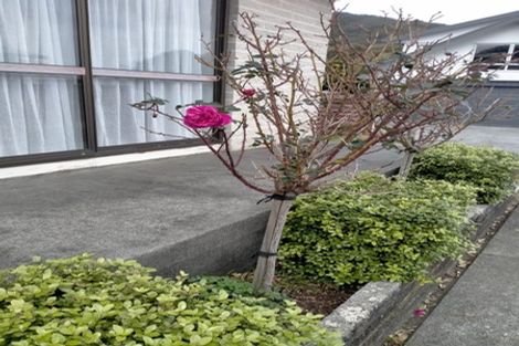 Photo of property in 44 Saint Ronans Avenue, Waterloo, Lower Hutt, 5011