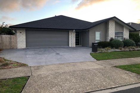 Photo of property in 19 Tuaia Street, Pyes Pa, Tauranga, 3112