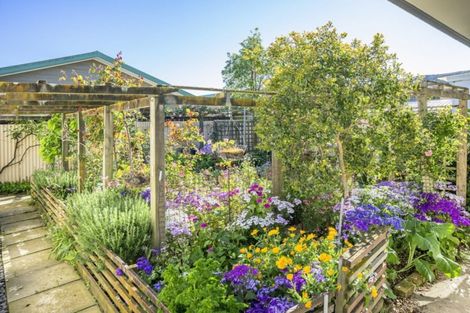 Photo of property in 21 Grove Street, The Wood, Nelson, 7010