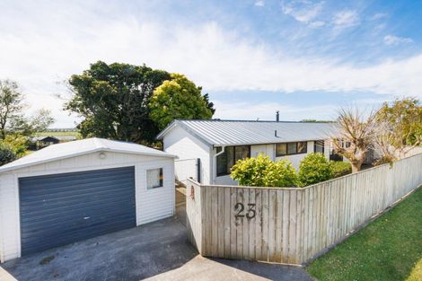 Photo of property in 23 Rata Street, Tokomaru, Palmerston North, 4474