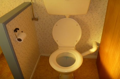 Photo of property in 286 Earnscleugh Road, Earnscleugh, Alexandra, 9391