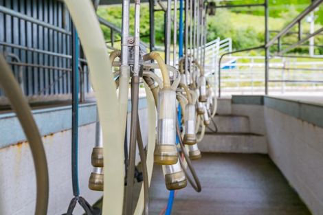 Photo of property in 512 Welcome Bay Road, Welcome Bay, Tauranga, 3175