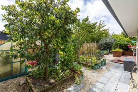 Photo of property in 28a Cotter Street, Greytown, 5712