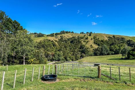 Photo of property in 169 Torehape Road, Kaihere, Ngatea, 3597