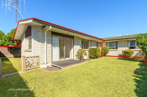 Photo of property in 52d Third Avenue, Tauranga, 3110