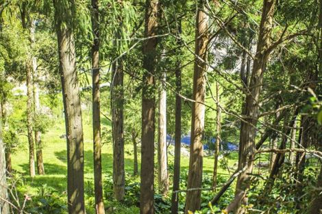 Photo of property in 8 Frasertown Road, Frasertown, Wairoa, 4195