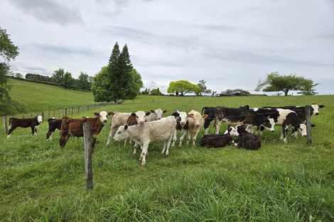 Photo of property in 146 Fletcher Road, Ngahinapouri, Hamilton, 3290