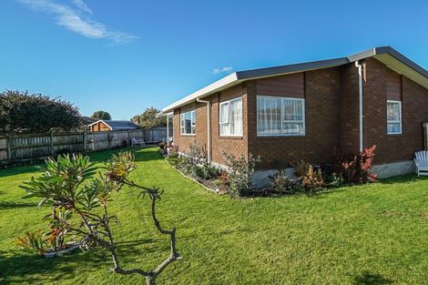 Photo of property in 11 Ledger Close, Richmond, 7020