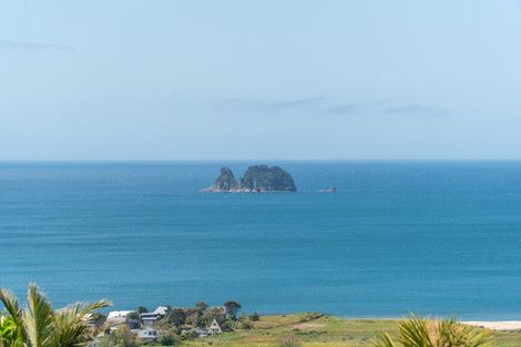Photo of property in 171 Centennial Drive, Whitianga, 3510