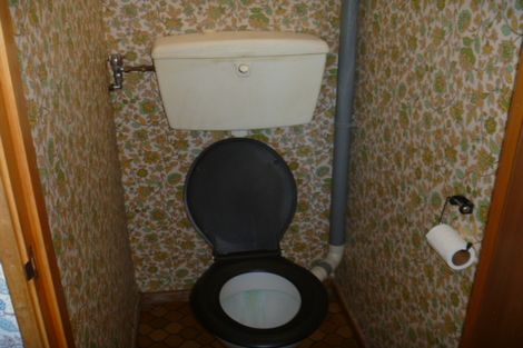 Photo of property in 286 Earnscleugh Road, Earnscleugh, Alexandra, 9391