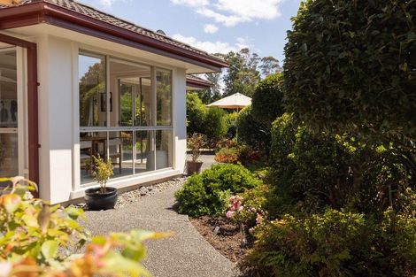 Photo of property in 87 Orange Lane, Bethlehem, Tauranga, 3110