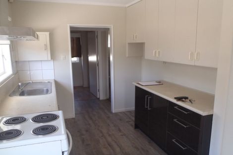 Photo of property in 51 Webster Avenue, Mount Roskill, Auckland, 1041