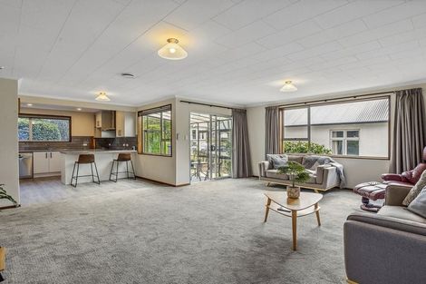 Photo of property in 11a Allandale Road, Saint Clair, Dunedin, 9012