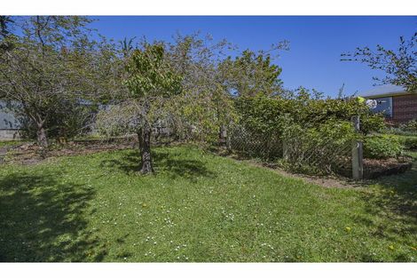Photo of property in 41 Kelvin Street, Marchwiel, Timaru, 7910