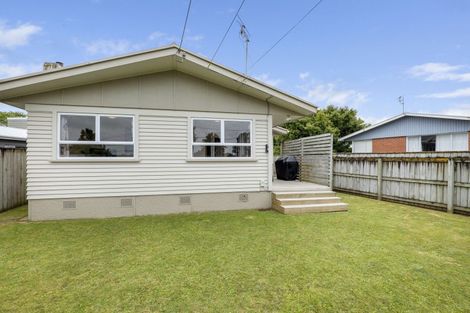 Photo of property in 254 Huatoki Street, Upper Vogeltown, New Plymouth, 4310