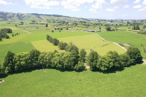 Photo of property in 231 Grice Road, Rotoorangi, Cambridge, 3495