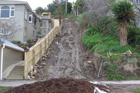 Photo of property in 58a Norfolk Street, Saint Clair, Dunedin, 9012