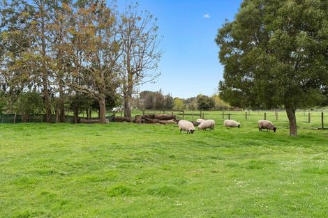 Photo of property in 253 State Highway 26, Newstead, Hamilton, 3286