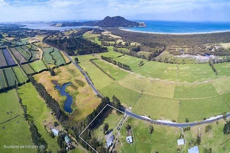 Photo of property in 3691 Far North Road, Pukenui, Kaitaia, 0484